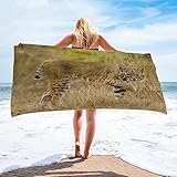 Strandtuch Dunkelbrauner Luchs Mikrofaser Handtuch Strandlaken Handtuch Schnell Trocknen Strandhandtuch Herren Frauen BadetüCher, HandtüCher, StrandtüCher 70x140cm