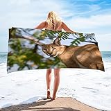 Strandtuch Himmelblauer Karakal Mikrofaser Handtuch Strandlaken GrößE Handtuch Schnell Trocknen Strandhandtuch Herren Frauen BadetüCher, HandtüCher, StrandtüCher 80x160cm