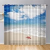 Hiseng Schiebegardinen Voile Vorhang Gardinen 2er Set Ozean Druck Sheer Schiebevorhänge Lichtdurchlässig Flächenvorhänge für Wohnzimmer Schlafzimmer Fensterschal (107x213cm,Wolke Himmel)