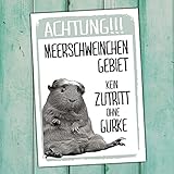 Meerschweinchen Kein Zutritt Gurke Schild lustig Spruch Türschild Warnschild Fun Metallschild Meerschwein hier wache ich Geschenkidee