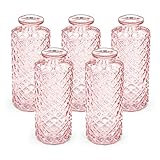 Blümelhuber 5er Set Kleine Vase Glas Deko Hochzeit - Vase Klein - Vase Modern - Deko Frühling - Pflanzen Deko Trockenblumen Set Vasen Hochzeitsdeko (Rose)