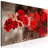 murando - Bilder Mohnblumen 150x50 cm Vlies Leinwandbild 1 tlg Kunstdruck modern Wandbilder XXL Wanddekoration Design Wand Bild Panoramabild - Blumen Pflanzenmotiv Textur wie gemalt b-A-0796-b-a