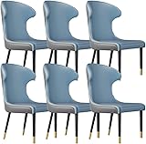 HAVMAK Moderne Küche Esszimmerstühle Set Küche Esszimmerstühle 6er Set, Leder Küche Wohnzimmer Lounge Theke Stühle Ergonomie Sitz Schmiedeeisenbeine Arbeitszimmer Lounge Stuhl (Farbe: Blau + Grau)