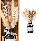 Trockenblumen Pampasgras Bouquet in Glasvase für die perfekte Boho Deko. Set mit Vielzahl von getrocknete Blumen in eleganter Deko Vase. Für Zuhause oder zum Verschenken.