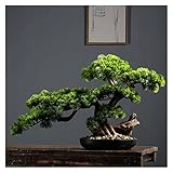 sararui Kunstpflanze Künstliche Bonsai-Kiefer von 17 Zoll, realistische gefälschte Pflanzendekoration, Topfkünstliche Hausanlagen, für Desktop-Display, Zen Garden Dekor Künstlicher Bonsai