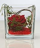 Sandra Rich Glasvase Cube klar eckig 12 cm Ø 12,0 x 12,0 cm