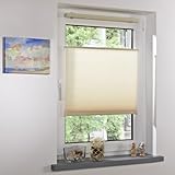 Liedeco® Thermo-Plissee freihängend mit Klemmträger / 80 x 130 cm Champagner (Breite x Höhe) / lichtdurchlässig Blickdicht und stufenlos verstellbar / Wabenplissee / leichte Innen-Montage ohne Bohren