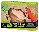 moses 4033477402523 T-Rex Zahn zum Ausgraben, Ausgrabungsset mit Dinosaurierzahn und Vulkansteinen, inkl. Kette und Ausgrabungswerkzeug, Dinosaurierfans