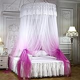 Moskitonetz für Bett, luxuriöses Prinzessinnenzimmer-Moskito-Baldachin mit Laterne, universelles Kuppel-Mesh-Zelt für Doppel- und Einzelbett, Pink