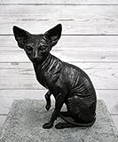 Thermobrass Bronzefigur sitzende Sphynx Katze