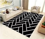 DJHWWD waschbare fussmatte Teppiche Für Schlafzimmer Rechteckiger schwarzer Teppich, Schlafzimmerteppich, Balkon-Bodenmatte, schmutzabweisend Rugs 100X160CM