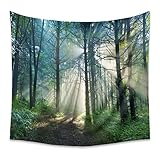 Mesnt Wandteppich Wald Klein, Wandbehang mit Dschungelwald Aesthetic Room Décor, Wandtuch Tapestry Tapisserie Wandbehang Grün, 150x100cm