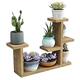Sukkulentenständer, 4 Etagen, Mini-Pflanzenregale, Tischplatte, Pflanzenregalhalter, für den Innenbereich, kleine Fensterbank, Blumenregal, Ausstellungsregal