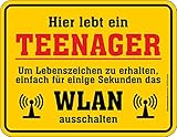 Original RAHMENLOS Deko Blechschild für Teenager - WLAN