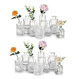 Glasseam Kleine Glasvase Tischdeko Vintage: 16er Vase Glas Klein Blumenvase Modern Deko Mini Vasen Set Schmale Tischvase Aesthetic Kristallvase Hochzeit Dekogläser Pampasgras Rose Baddekorationen