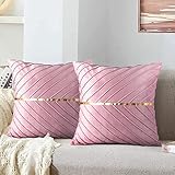 MAIXUN Kissenbezüge Rosa 45 x 45 cm Dekokissen Samt Sofakissen Weich Couchkissen Kissenhülle Zierkissenbezug Kissen Fall für Wohnzimmer Schlafzimmer 2er Set