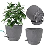 Zaphara w.5inch Self Wate with Saucer Orchid Pot for Plants Modern und