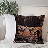 Dekorativ Kissenbezüge 50x50 cm,Säugetier-Schäfer-Bauer, der seine Herde anführt, weidet H,Kissenbezug Weicher Polyester Kissenhülle Set Kissen Fall für Sofa Auto Schlafzimmer Zuhause Zierkissenbezüge