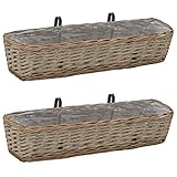 vidaXL 2X Balkon-Blumenkasten Pflanzkasten Blumenkiste Geländerkasten Balkonkasten Weide und PE-Auskleidung 80cm