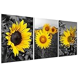 SonnenblumenKunstdrucke Wanddekoration – Schwarz und Weiß Gelb Leinwand Gemälde Blume Pflanze Bild Schlafzimmer Wohnzimmer Badezimmer Küche Dekoration Home Office Modern Kunstwerk 3 Stück 30,5 x