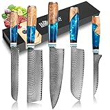 Home Safety Damastmesser Set, 5er Chefmesser Set, Kochmesser Set, 67 Lagen Damaststahl Profi Küchenmesser Set, Damast Japanische Messer mit Ergonomischer Blauer Harzgriff für Haushalt/Restaurant