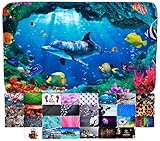 Sanilo Badteppich I viele schöne Badematten zur Auswahl I Badvorleger sehr weich und rutschfest I waschbar und schnelltrocknend (Delphin Korallen, 50 x 80 cm)