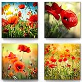 4 wunderschöne Blumen Leinwandbilder - die Mohnblume - jedes Bild ist 30x30cm, aufhängefertig, wertige Wohnzimmer oder Schlafzimmer Wandbilder für Ihre Wanddekoration, Natur Landschaftsbilder Set-A