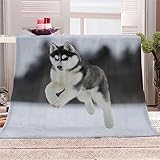 Kuscheldecke Husky Hund Flauschige Wohndecke Winterschnee Weich Fleecedeck Tagesdecke Sofadecke Wärme Flanell Decke für Couch Bett Stuhl Büro Sommer personalisierte Decke 130x150cm