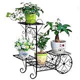 HUYYA Blumenregal Blumenständer Metall im Innenbereich Blumenbank Regale Pflanzenständer Innenhof-Patio-Balkon Blumenhocker Blumen,Large black