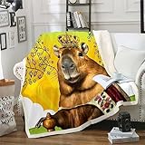 Lustige Capybara Werfen Decke 229x229cm Braun Capybara Vlies Decke für Kinder Jugend Jungen Mädchen Schlafzimmer Dekor, Niedliche Nagetier Tier Fuzzy Decke Capybara Geschenke für Capybara Liebhaber