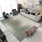 RUGMRZ Schreibtisch Teppich zimmerdeko Rechteckige Teppiche für das Esszimmer, Schlafzimmer-Teppiche mit niedrigem Flor und Innenteppiche Teppich Balkon Carpet Rug 180x250cm