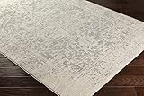 Surya Syracusa Vintage Teppich - Orientalischer Teppich Wohnzimmer, Esszimmer, Schlafzimmer - orientalischer Boho Teppich, Kurzflor Teppich für einfache Pflege - Teppich Groß 200x274cm in Grau