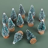 12 Stück Mini Weihnachtsbaum, Künstlicher Flaschenbürste Weihnachtsbaum für Weihnachten Dekorationen Tischdeko, Schaufenster, DIY Schneekugeln, Weihnachtskuchen und Geschenken, Miniatur-Weihnachtsbaum