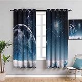 Gardinen Kinderzimmer Vorhänge Blickdicht , Ösenschal 2Er Set 3D Blauer Sternenhimmel Planet Schneeberg Druckmuster Vorhang Wärmeisolierend, Verdunkelungsvorhang Für Wohnzimmer Schlafzimmer 150X166Cm