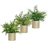 New rui cheng Künstliche Pflanzen, Pflanze Künstliche Mini Kunstpflanzen Echt Pflanzen Künstlich Eukalyptus Rosmarin Babysbreath Kleine mit Topf 3 Stück Home Schreibtisch Küche Badezimmer Garden Deko