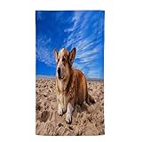 Strandtuch Brauner Hund Strandtuch XXL Schnelltrocknend Sandfrei Ultraleicht Mikrofaser Strandhandtuch Groß XXL für Reise Fitness Yoga Strand Hamamtuch für Damen Herren Kinder Mädchen, 150x200 cm