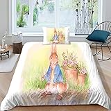 SHENGANG Peter Rabbit Kinder Bettbezug Set Startseite Satz, Bettwäsche Satz Moderne Animation Bettbezug Für Jugendliche Jugend Mädchen Jungen, Startseite Schlafzimmer Dekor Single（135x200cm）