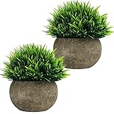 BELLE VOUS Mini Künstliche Pflanzen im Topf (2er Pack) Kunstpflanze Badezimmer Falsche Grüne Gras Sträucher in Grauem Topf - Kleine Kunstpflanzen für Indoor & Outdoor Dekopflanzen, Büro & Badezimmer