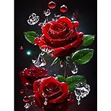 YWKJDDM 5D DIY Diamond Painting Kits, Diamant Painting Bilder Full Drill, Rote Rose Kreuzstich Stickbilder Gemälde Malerei Nach Zahlen für Erwachsene 30 x 40cm