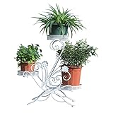 Dazone Blumenständer Blumentreppe Blumenregal Pflanzregal, 69x65x22cm (Weiß)
