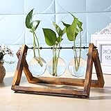 CTOBB Glas und Holz Vase Planter Terrarium Tabelle Desktop-Hydroponik Pflanze Bonsai Blumentöpfe Hängende Töpfe mit Holztablett Inneneinrichtungen, Größe L