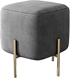 POCHY Gepolsterter Fußhocker für Familien, hautfreundlich, Flanellstoff, Haushalts-Schuhwechselhocker, galvanisierte Metallfüße, Wohnzimmer, Sofa, Hocker, 150 kg, 40 x 40 x 45 cm, Schminktisch, Hocker