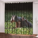 ONDIAN verdunkelungsvorhang ösen 265 x 274 cm(104 x 107.8 inch) Vorhang Blickdicht Gardinen Blickdicht Verdunkelungsvorhang Schlaufen 2er Set