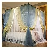 Betthimmel, Spitzen-Moskitonetz, U-förmige Führungsschiene, Moskitonetz, Haushalts-Prinzessin-Stil, Palast-Bettzelt (Farbe: C, Größe: 1,8 x 2,2 m Bett)