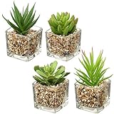 Briful Kunstpflanze Künstliche Sukkulente Pflanze Zimmerpflanze Decorative Wohnzimmer,Badezimmer Dekopflanze Sukkulente, Höhe 10.5cm, im Glastopf, 4er Set