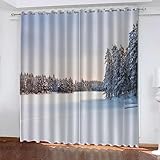 ONDIAN Vorhang 140 x 117 cm(55 x 46 inch) Verdunkelungsvorhang mit Ösen Gardinen Schlafzimmer Ösenvorhang 2er Set