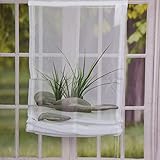 Raffrollo Digitaldruck Sao Paulo 60x140cm Gras/Steine