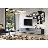 Lomadox Wohnwand modern grau mit Glasfronten und LED Beleuchtung, B/H/T: ca. 290/195/48 cm
