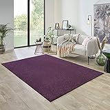 Carpet Studio Ohio Teppich Wohnzimmer 160x230cm, Weicher Kurzflor Teppich, Wohnzimmer, Esszimmer & Schlaffzimmer, Pflegeleicht, Geruchsneutral - Lila