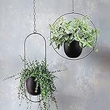 Xzbling Modern Deko Blumenampel Hängende Metall Blumentopf Schwarz Pflanzenampel Hängend Hängeampel Pflanzen Halter Hängeblumentopf Für Innen Außen Decken Balkone Wanddekoration